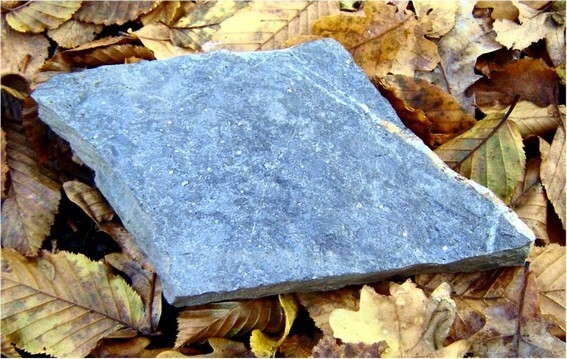 Ardoise avec pyrite de fer apparente